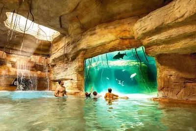 Image de Paradise Island'S Harborside Resort+Atlantis Resort Waterpark Amenities Included