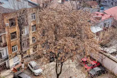 Image de Cozy 1-bedroom apartment in the City Center in București