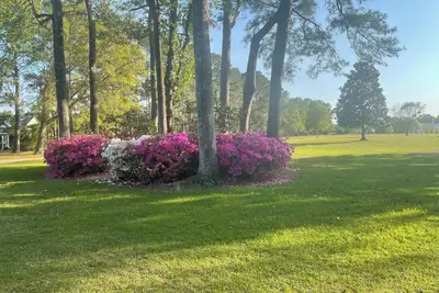 Image de Bring your boat and park on the property! Sloop Point Marina is 5 minutes away!