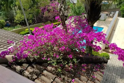 Image de Exclusive house in the Serra da Cantareira mountains | Pool & Nature.