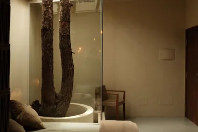 Image de Location chambre d'hôtes au Canaries