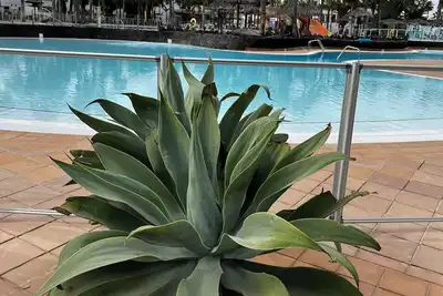 Image de Susana - cozy  1-bedroom apartment in charming Corralejo perfect for relaxing
