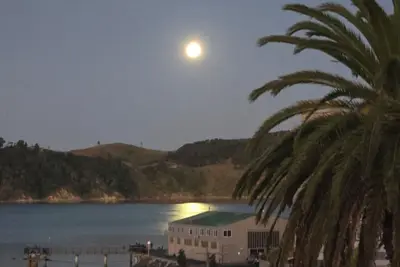 Image de Raglan beach hideaway, stunning views. 5 minute walk to the Famous Raglan Wharf.