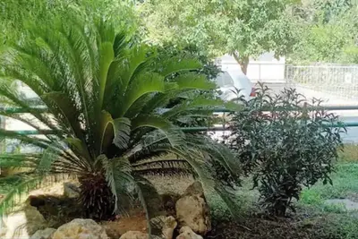 Image de Résidence Marousi avec jardin