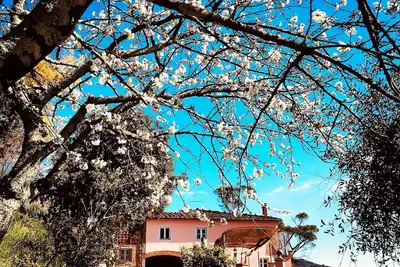 Image de Apartment in farmhouse, nestled in olive grove, 15 minutes from Lucca