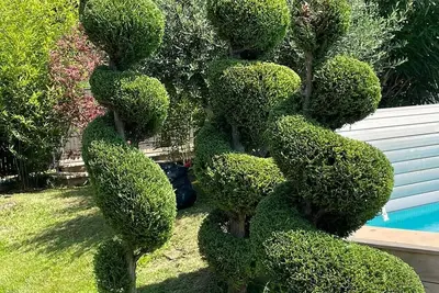 Image de Villa à 10 mn d'Aix-en-Provence. Un havre de paix en Provence : luxe et confort
