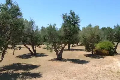 Image de Villa « 600 Tricase » avec terrasse privée, jardin privé et climatisation