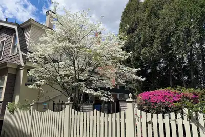 Image de Nfl Draft Pittsburgh - stay in Mr. Rogers Neighborhood!