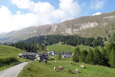Image de Merveilleuse maison de vacances privée avec Wifi, Tv, patio, animaux admis et vue panoramique