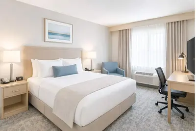 Image de Vibrant and Walkable Space in Downtown Toronto. Prime location!