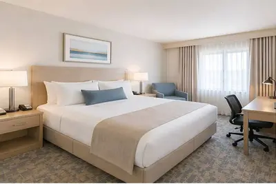 Image de Downtown Toronto Gem with Extra Bed and Sofa Bed. Great central location!