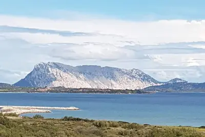 Image de Villa in front of the island of Tavolara immersed in peace and silence