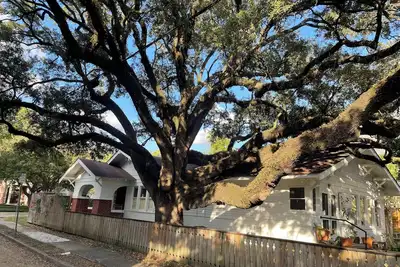 Image de Bungalow with garage apartment in the Houston Museum District