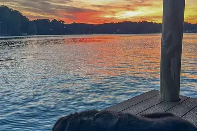 Image de Baloo Lagoon - Pet Friendly / Sunset Views