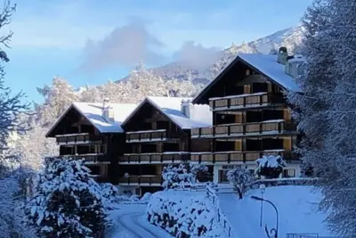Image de Les Mayens de l'Ours - 4 Vallées by Interhome