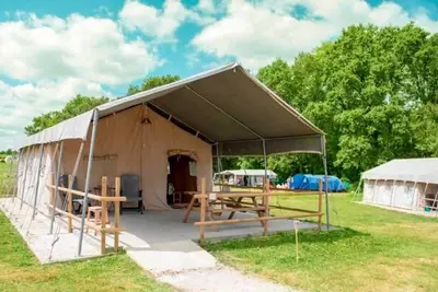 Image de Parc de la Brenne - Safaritent accessible