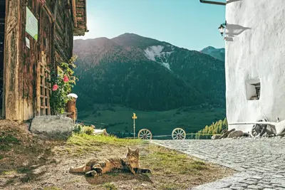 Image de Agrotourismus Pütschai Josom, (Sta. Maria - Santa Maria Val Müstair). by Interhome