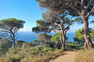 Image de T2 climatisé, Wifi haut débit, en rez jardin, plage de Gigaro et sentiers a 500m