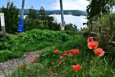 Image de Belle maison de vacances suédoise au bord d’un lac avec totale intimité
