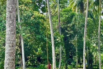 Image de Modern Villa near Colombo Airport  Old-World Sri Lankan Hospitality & Traditions