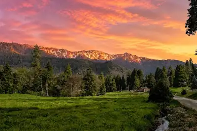 Image de Sequoia Time Capsule: Spa, Walk 2 Giant Sequoias, River, Fish, Bike, Saloon
