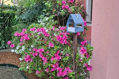 Image de Arona Lake Maggiore Via San Luigi Apartment