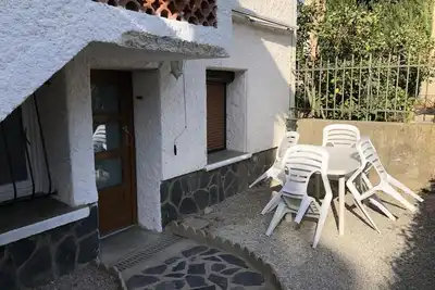 Image de Le cactus - Ste-Marie-La-Mer