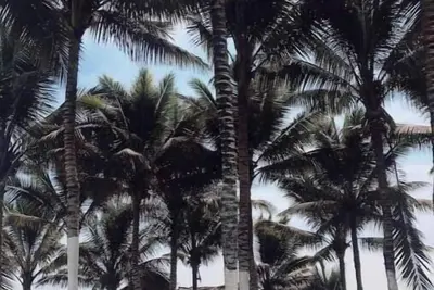 Image de Casa Abuita: Beach & Nature