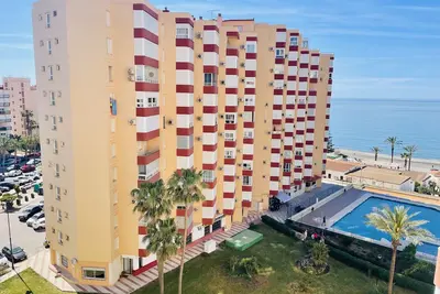 Image de Kumquat par At Home Costa del Sol