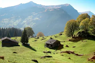 Image de Agréable appartement pour 4 personnes avec Wifi, Tv et balcon