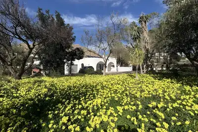 Image de Maison de vacances « El Olivo » avec vue sur la montagne, Wi-Fi et climatisation