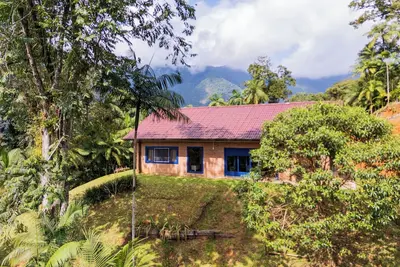 Image de Dona Bela Farm – Forest view and barbecue area