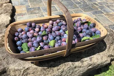Image de Ancienne étable rénovée avec charme - Ferme du XVIIIème siècle -