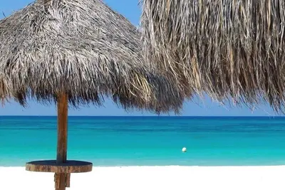Image de 2 Br Private Baths & Balcony 5 minutes to Beaches like Tres Trapi  Palm Beach