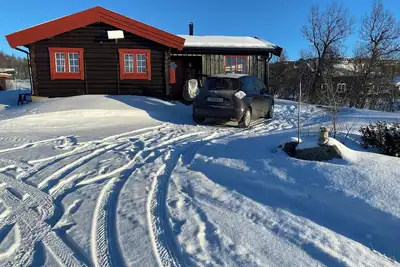 Image de Cabane traditionnelle à Nøsterbølia
