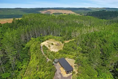 Image de Luxury Bush Retreat with Outdoor Bath, Birds, Trails & Wine Country  | Waimauku.