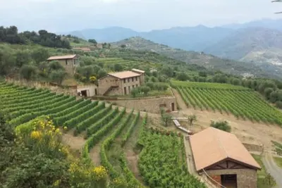 Image de Fermes en pierre parmi les oliviers en Ligurie