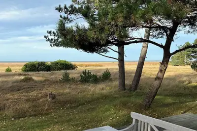 Image de Vue de la mer sur la bruyère et les roseaux à Sejerøbugten