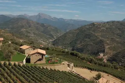 Image de Fermes en pierre au milieu des oliviers et des vignobles