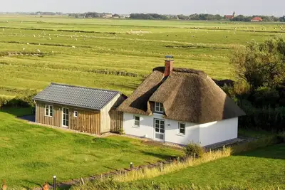 Image de Charmante chaumière sur la digue près de St. Peter-Ording