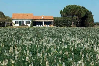 Image de Gîte avec vue sur le lac de Burano