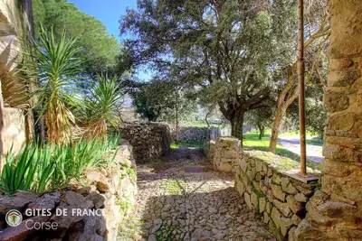 Le 50132 - Corbara - Gîte