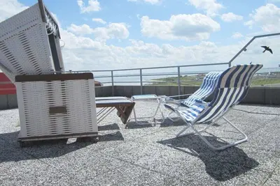 Image de Lüttje Strandflieder