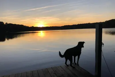 Image de Set on 85 acre lake with endless sunsets over water. Peaceful. Nature. Private.