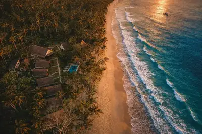 Image de The Henry Qi Elnido
