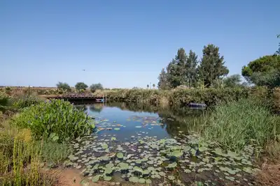 Image de Joyeux cottage 2 chambres en Algarve avec piscine naturelle et jardins