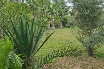 Image de Très beau domaine - pour très grands Groupe -Palmeraie
