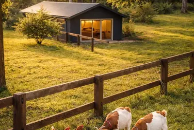 Image de New Luxe Farm Stay with Animals, Firepit, Fresh Eggs & Beach near Terrigal