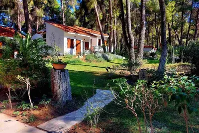 Image de Villa Anty à Sani, Chalcidique : terrasse privée et vue sur la pinède