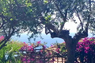 Image de Waves of relaxation: Private Garage and Private Garden & A/C - Ricky's Maple Tree.